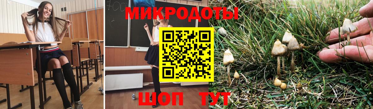 Псилоцибиновые грибы Psilocybe Валуйки